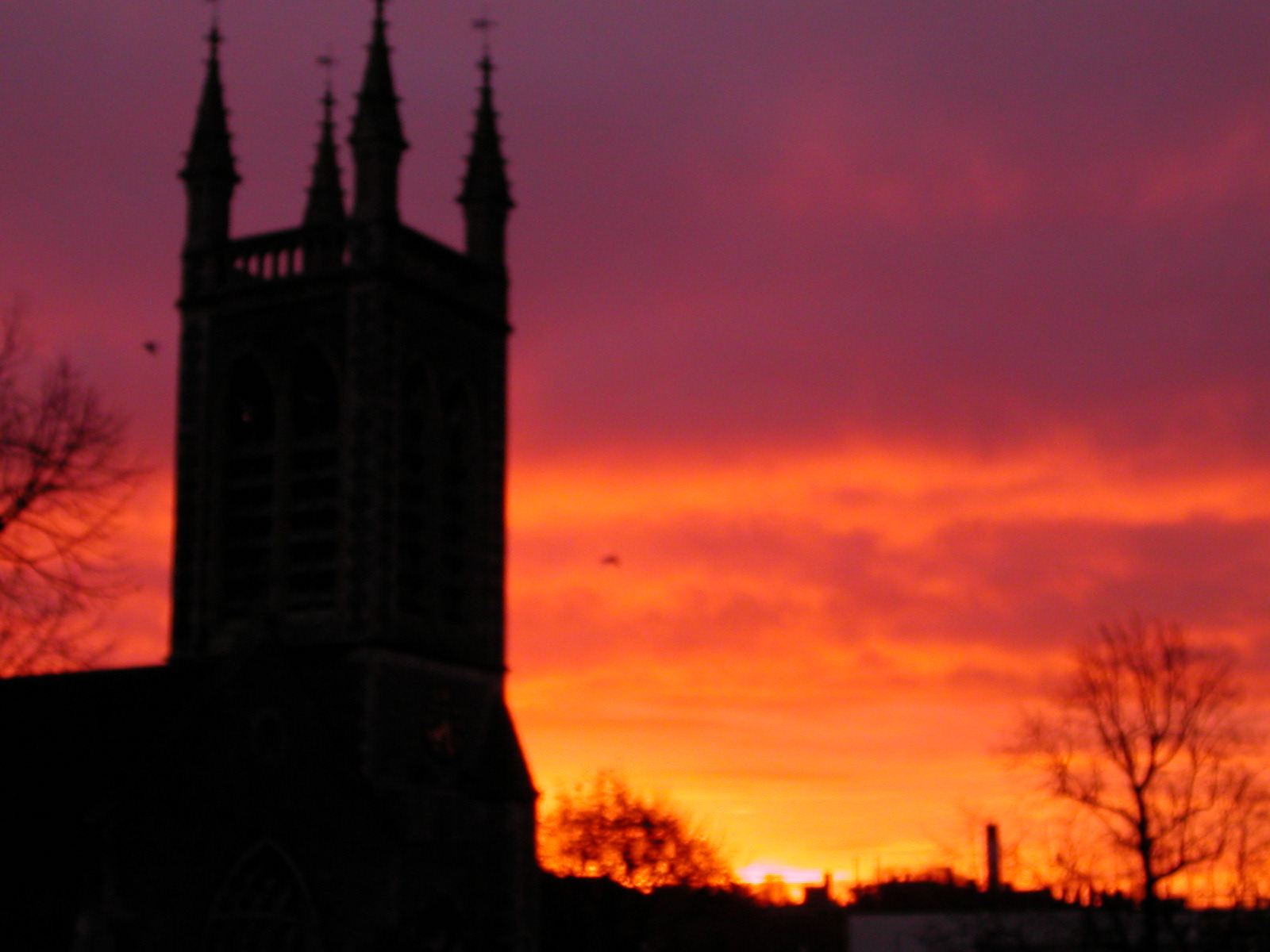 Scene from Whiteladies Road, Bristol